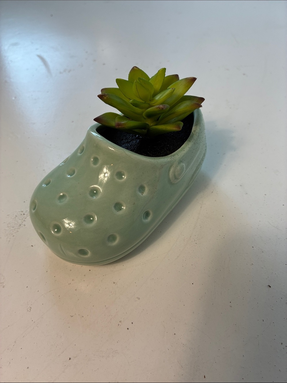 Blue Croc Faux Succulent Plant Ceramic Home Decor
